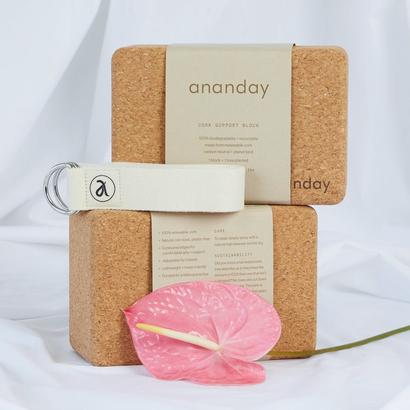 Yoga Block & Strap Set by Ananday